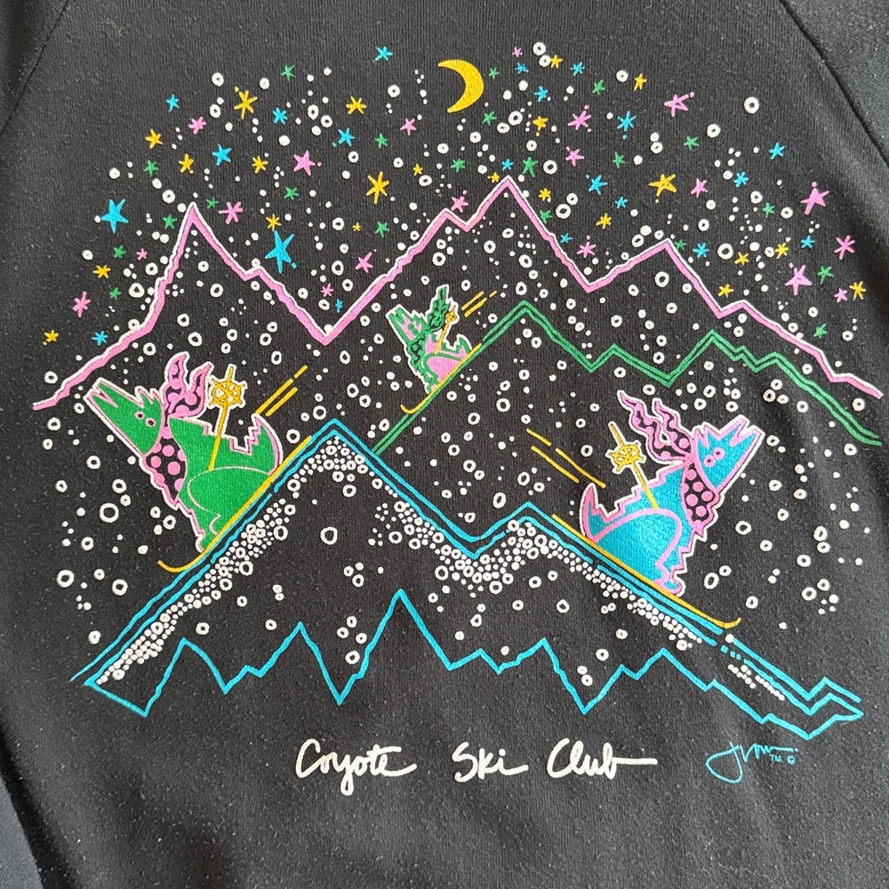 Jerzees vintage Black Mountain Graphic Crewneck Sweater - Picture 2 of 4